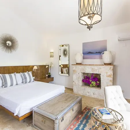 Stone House - %90 Muhafazakar Villa *